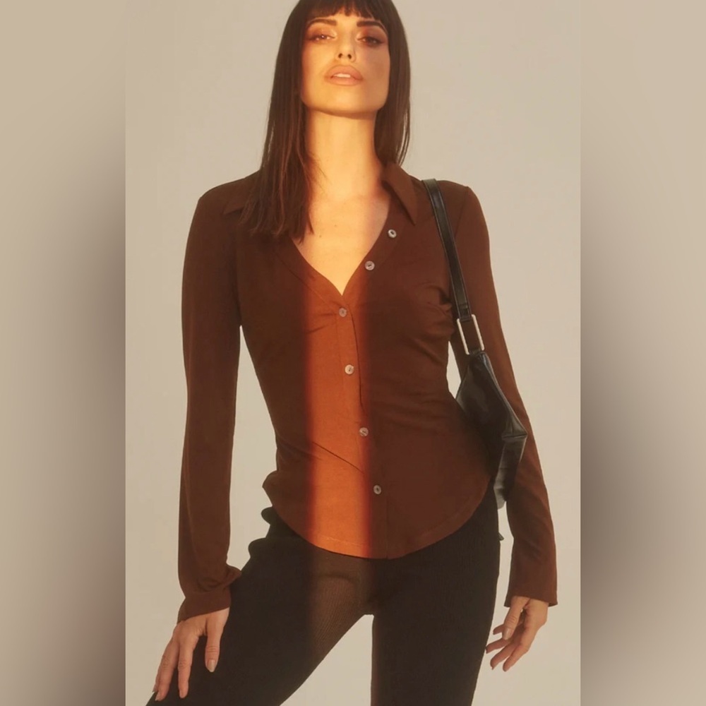 Aritzia Wilfred mesh long sleeve button up